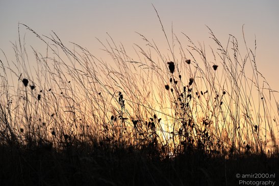 Countryside_Of_Waterland_During_The_Partial_Eclipse_Noord_Holland_Netherlands_Nature_Photography_Canon_EOS_R5_Mark_II_2026_022.JPG