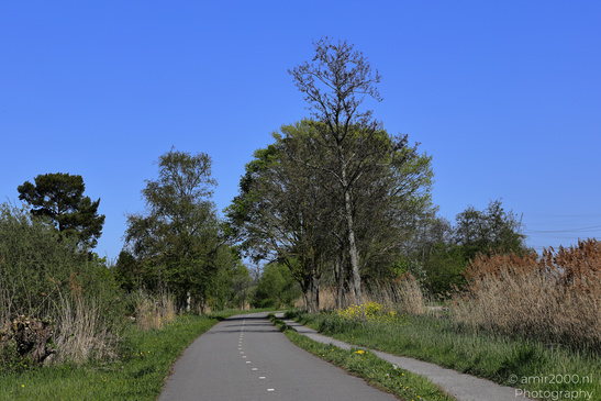 Countryside_Of_Waterland_In_Noord_Holland_Netherlands_Nature_Photography_Canon_EOS_R5_Mark_II_2026_001.JPG