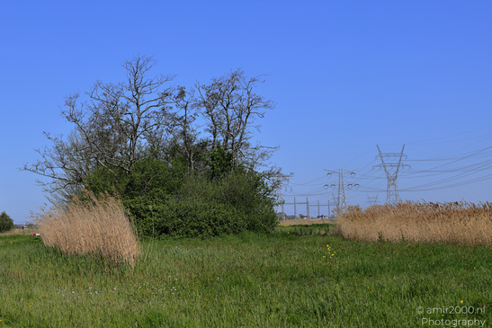 Countryside_Of_Waterland_In_Noord_Holland_Netherlands_Nature_Photography_Canon_EOS_R5_Mark_II_2026_002.JPG