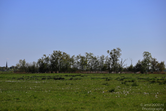 Countryside_Of_Waterland_In_Noord_Holland_Netherlands_Nature_Photography_Canon_EOS_R5_Mark_II_2026_011.JPG