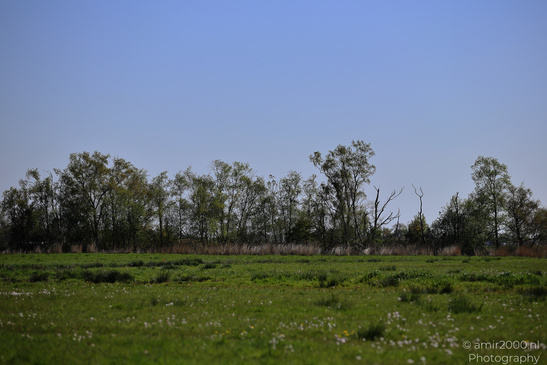 Countryside_Of_Waterland_In_Noord_Holland_Netherlands_Nature_Photography_Canon_EOS_R5_Mark_II_2026_014.JPG