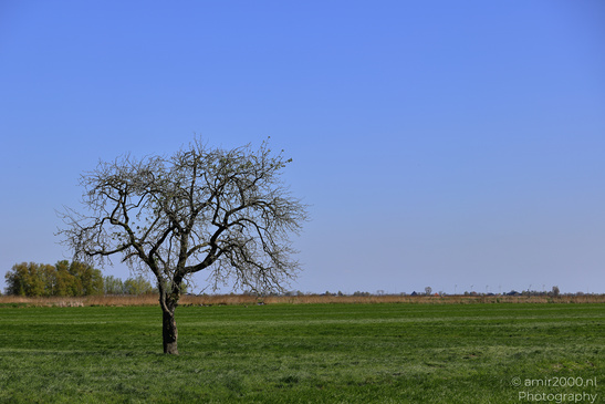Countryside_Of_Waterland_In_Noord_Holland_Netherlands_Nature_Photography_Canon_EOS_R5_Mark_II_2026_018.JPG