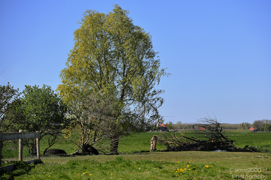 Countryside_Of_Waterland_In_Noord_Holland_Netherlands_Nature_Photography_Canon_EOS_R5_Mark_II_2026_020.JPG