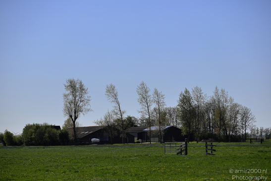 Countryside_Of_Waterland_In_Noord_Holland_Netherlands_Nature_Photography_Canon_EOS_R5_Mark_II_2026_026.JPG
