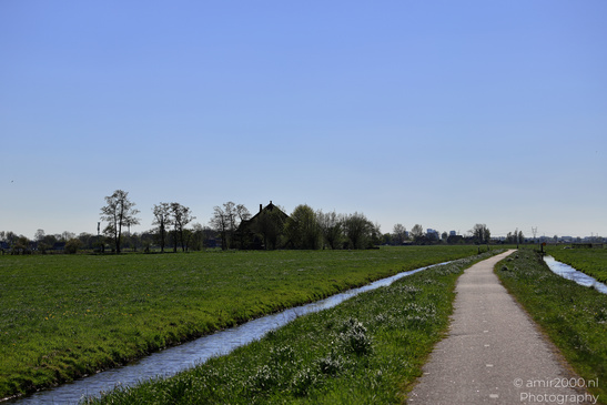 Countryside_Of_Waterland_In_Noord_Holland_Netherlands_Nature_Photography_Canon_EOS_R5_Mark_II_2026_028.JPG