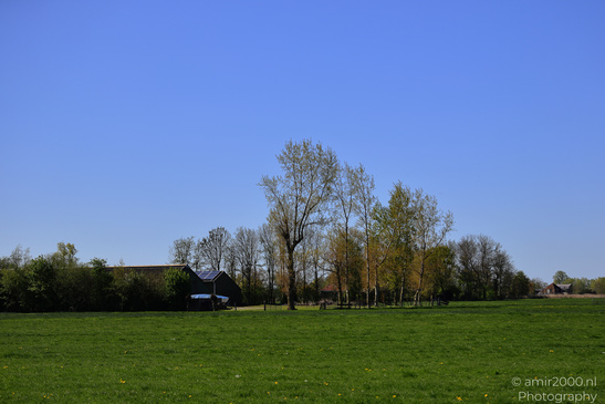 Countryside_Of_Waterland_In_Noord_Holland_Netherlands_Nature_Photography_Canon_EOS_R5_Mark_II_2026_029.JPG