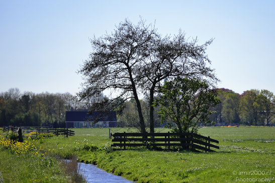 Countryside_Of_Waterland_In_Noord_Holland_Netherlands_Nature_Photography_Canon_EOS_R5_Mark_II_2026_032.JPG
