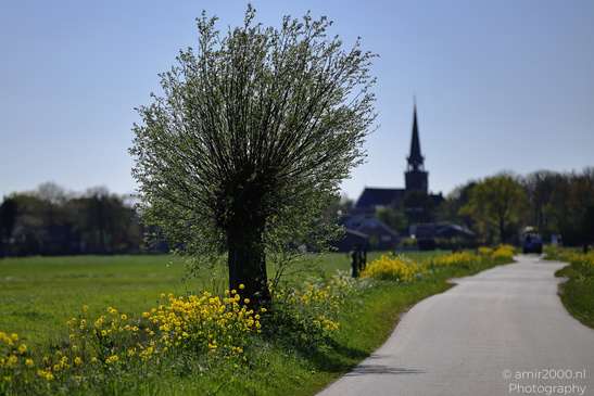 Countryside_Of_Waterland_In_Noord_Holland_Netherlands_Nature_Photography_Canon_EOS_R5_Mark_II_2026_033.JPG