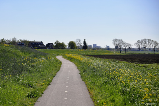 Countryside_Of_Waterland_In_Noord_Holland_Netherlands_Nature_Photography_Canon_EOS_R5_Mark_II_2026_039.JPG