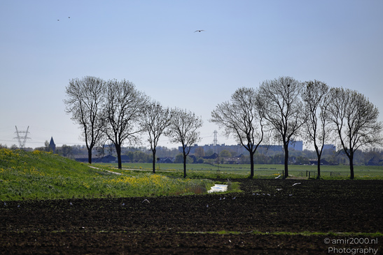 Countryside_Of_Waterland_In_Noord_Holland_Netherlands_Nature_Photography_Canon_EOS_R5_Mark_II_2026_040.JPG