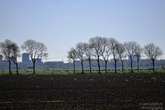 Countryside_Of_Waterland_In_Noord_Holland_Netherlands_Nature_Photography_Canon_EOS_R5_Mark_II_2026_041.JPG
