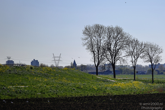 Countryside_Of_Waterland_In_Noord_Holland_Netherlands_Nature_Photography_Canon_EOS_R5_Mark_II_2026_043.JPG