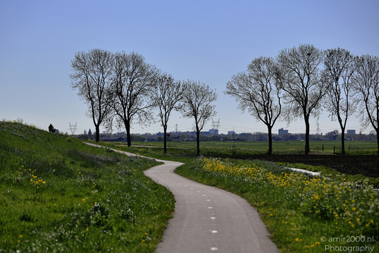 Countryside_Of_Waterland_In_Noord_Holland_Netherlands_Nature_Photography_Canon_EOS_R5_Mark_II_2026_044.JPG