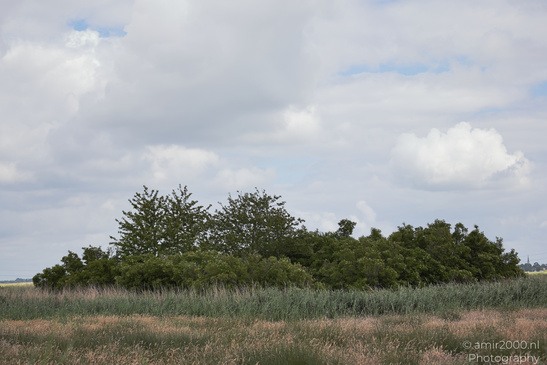 Countryside_Of_Waterland_In_Noord_Holland_Netherlands_Nature_Photography_Canon_EOS_R5_Mark_II_2026_046.JPG
