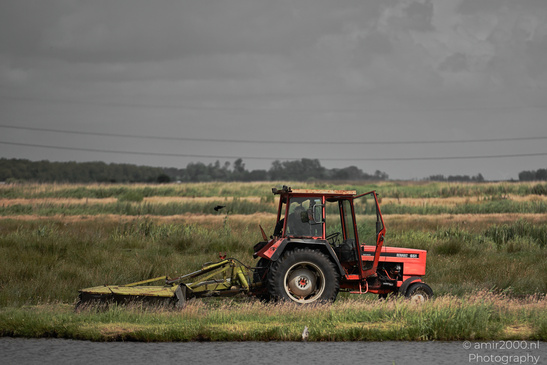 Countryside_Of_Waterland_In_Noord_Holland_Netherlands_Nature_Photography_Canon_EOS_R5_Mark_II_2026_047.JPG