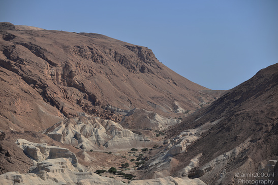 Dead_Sea_And_Judean_Desert_Scenery_Dead_Sea_Israel_Nature_Photography_Canon_EOS_R5_Mark_II_2026_004.JPG