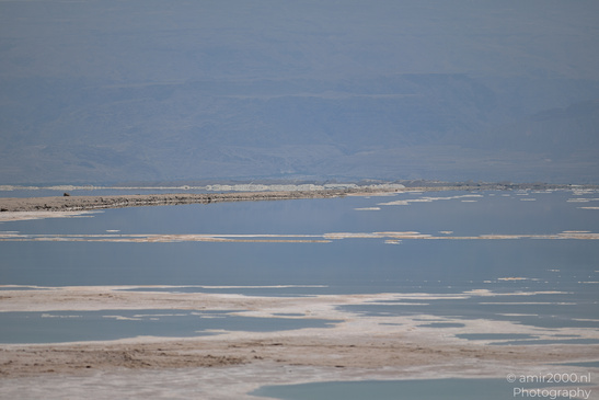 Dead_Sea_And_Judean_Desert_Scenery_Dead_Sea_Israel_Nature_Photography_Canon_EOS_R5_Mark_II_2026_020.JPG