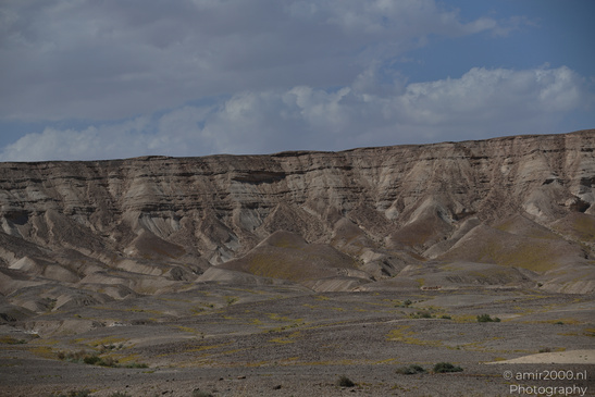 Dead_Sea_And_Judean_Desert_Scenery_Dead_Sea_Israel_Nature_Photography_Canon_EOS_R5_Mark_II_2026_050.JPG