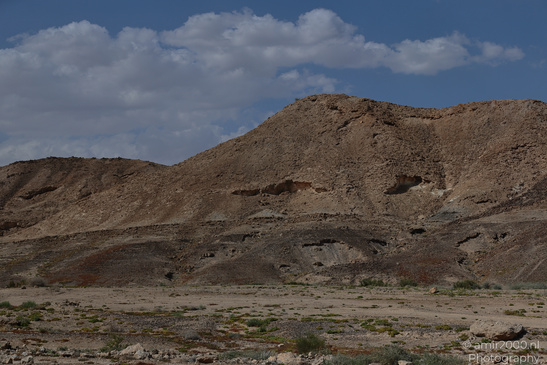 Dead_Sea_And_Judean_Desert_Scenery_Dead_Sea_Israel_Nature_Photography_Canon_EOS_R5_Mark_II_2026_053.JPG