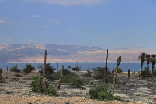 Dead_Sea_And_Judean_Desert_Scenery_Dead_Sea_Israel_Nature_Photography_Canon_EOS_R5_Mark_II_2026_065.JPG