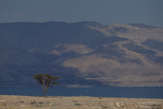 Dead_Sea_And_Judean_Desert_Scenery_Dead_Sea_Israel_Nature_Photography_Canon_EOS_R5_Mark_II_2026_077.JPG