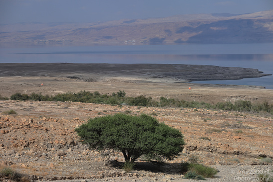 Dead_Sea_And_Judean_Desert_Scenery_Dead_Sea_Israel_Nature_Photography_Canon_EOS_R5_Mark_II_2026_079.JPG