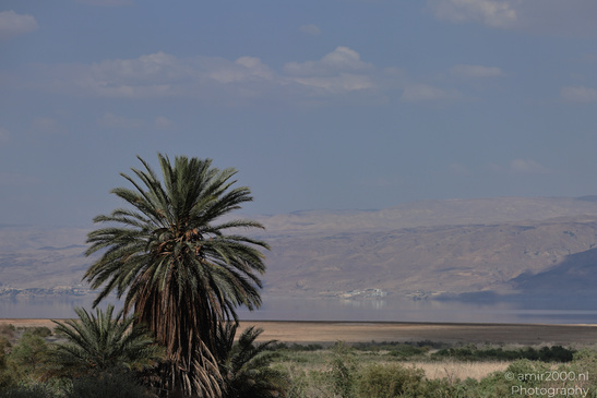 Dead_Sea_And_Judean_Desert_Scenery_Dead_Sea_Israel_Nature_Photography_Canon_EOS_R5_Mark_II_2026_080.JPG