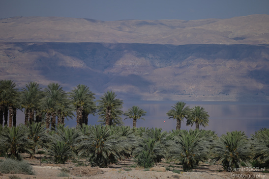 Dead_Sea_And_Judean_Desert_Scenery_Dead_Sea_Israel_Nature_Photography_Canon_EOS_R5_Mark_II_2026_083.JPG