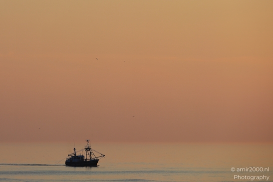 A solitary fishing boat sails across the calm waters at sunset, with a bird flying overhead. - image from year 2026 #001