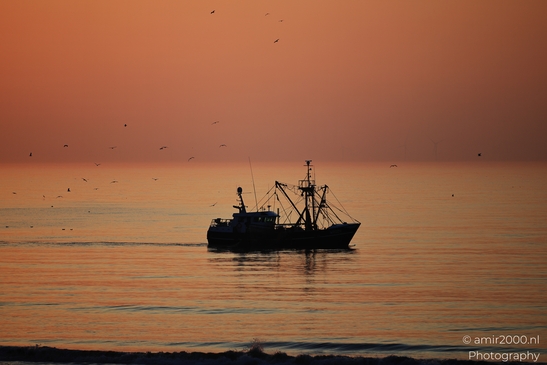 A fishing boat at sunset on the North Sea, with birds flying in the sky and the horizon line - image from year 2026 #013