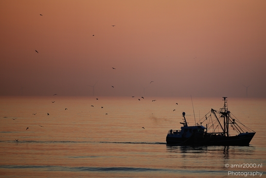 A fishing boat sails across the calm waters at sunset, with silhouetted birds flying overhead. - image from year 2026 #014