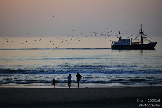 Image birds with boat, beach, sky, water and people. - image from year 2026 #015