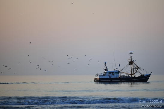 A fishing boat sails on the North Sea at sunset, with birds flying overhead. - image from year 2026 #016