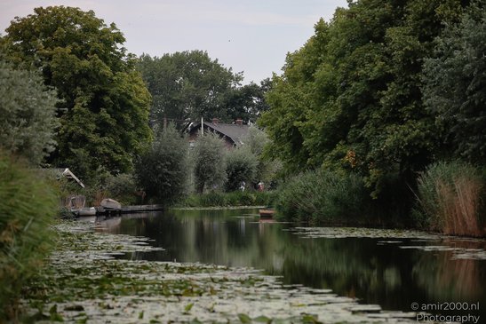 Gein_Between_Driemond_And_Abcoude_Amsterdam_Netherlands_Nature_Photography_Canon_EOS_R5_Mark_II_2026_001.JPG