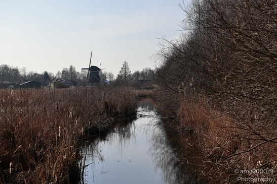 Gemeenschapsmolen Of De Gaaspermolen in a winter landscape in Driemond Netherlands. - image from year 2026 #003