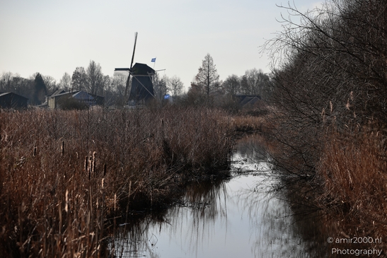 Gemeenschapsmolen Of De Gaaspermolen in a winter landscape. - image from year 2026 #004
