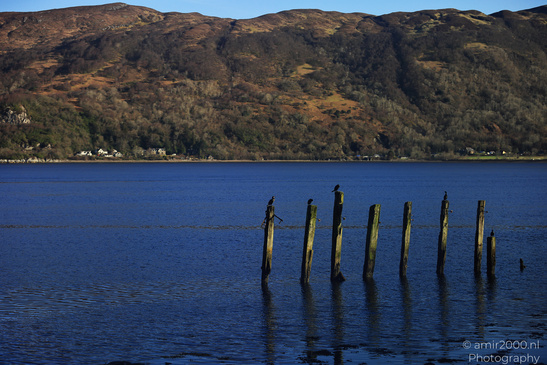 Glencoe_Holidays_In_Loch_Linnhe_In_The_Scottish_Highlands_Scotland_United_Kingdom_Nature_Photography_Canon_EOS_R5_Mark_II_2026_005.JPG