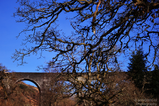 Glenfinnan_Viaduct_In_The_Scottish_Highlands_Scotland_United_Kingdom_Nature_Photography_Canon_EOS_R5_Mark_II_2026_002.JPG