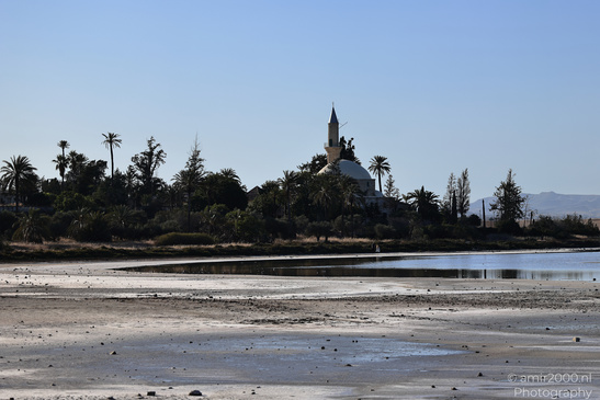 Hala_Sultan_Tekke_At_Larnaca_Salt_Lake_Larnaca_Cyprus_Nature_Photography_Canon_EOS_R5_Mark_II_2026_009.JPG