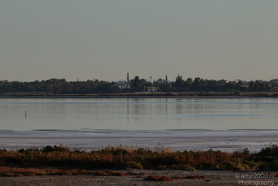 Hala_Sultan_Tekke_At_Larnaca_Salt_Lake_Larnaca_Cyprus_Nature_Photography_Canon_EOS_R5_Mark_II_2026_012.JPG