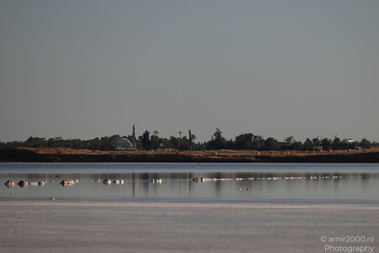 Hala_Sultan_Tekke_At_Larnaca_Salt_Lake_Larnaca_Cyprus_Nature_Photography_Canon_EOS_R5_Mark_II_2026_013.JPG