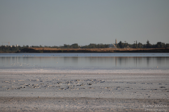 Hala_Sultan_Tekke_At_Larnaca_Salt_Lake_Larnaca_Cyprus_Nature_Photography_Canon_EOS_R5_Mark_II_2026_014.JPG