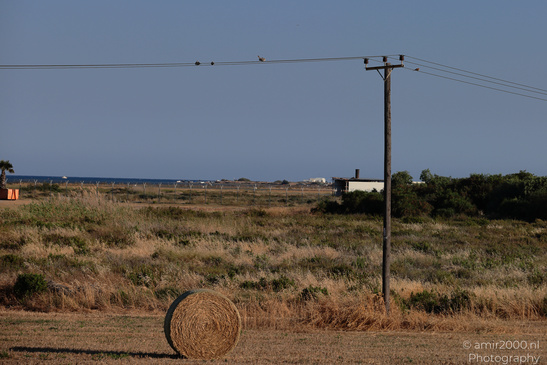 Hay_Bale_At_Larnaca_Cyprus_Nature_Photography_Canon_EOS_R5_Mark_II_2026_001.JPG