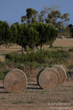 Hay_Bale_At_Larnaca_Cyprus_Nature_Photography_Canon_EOS_R5_Mark_II_2026_002.JPG