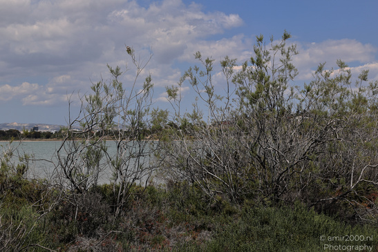 Larnaca_Salt_Lake_Scenery_Larnaca_Cyprus_Nature_Photography_Canon_EOS_R5_Mark_II_2026_001.JPG