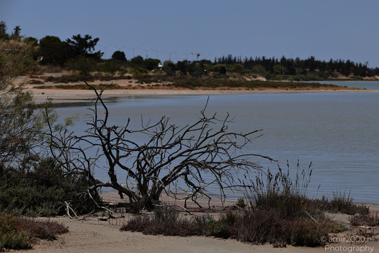 Larnaca_Salt_Lake_Scenery_Larnaca_Cyprus_Nature_Photography_Canon_EOS_R5_Mark_II_2026_003.JPG
