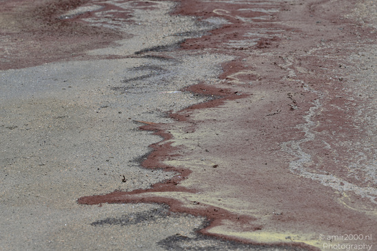 Larnaca_Salt_Lake_Scenery_Larnaca_Cyprus_Nature_Photography_Canon_EOS_R5_Mark_II_2026_004.JPG