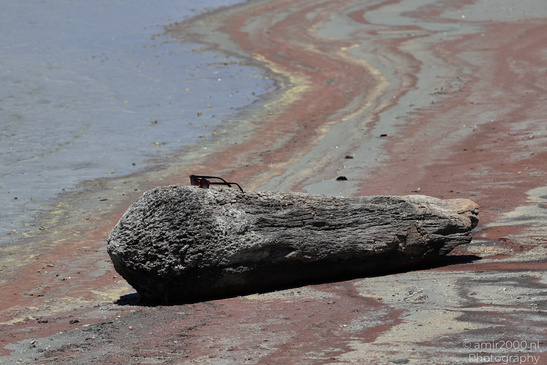 Larnaca_Salt_Lake_Scenery_Larnaca_Cyprus_Nature_Photography_Canon_EOS_R5_Mark_II_2026_007.JPG