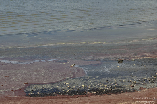 Larnaca_Salt_Lake_Scenery_Larnaca_Cyprus_Nature_Photography_Canon_EOS_R5_Mark_II_2026_008.JPG