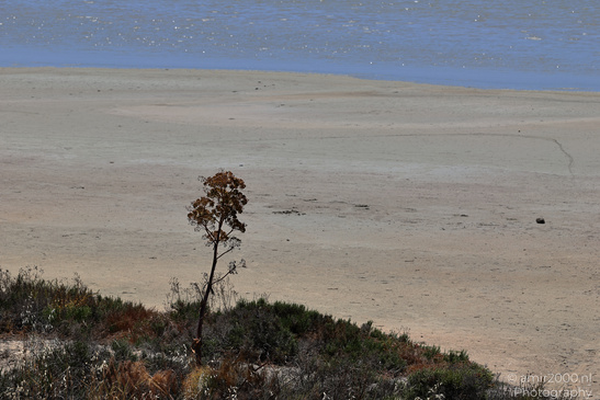 Larnaca_Salt_Lake_Scenery_Larnaca_Cyprus_Nature_Photography_Canon_EOS_R5_Mark_II_2026_013.JPG